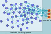 Big data animal models help study of human diseases