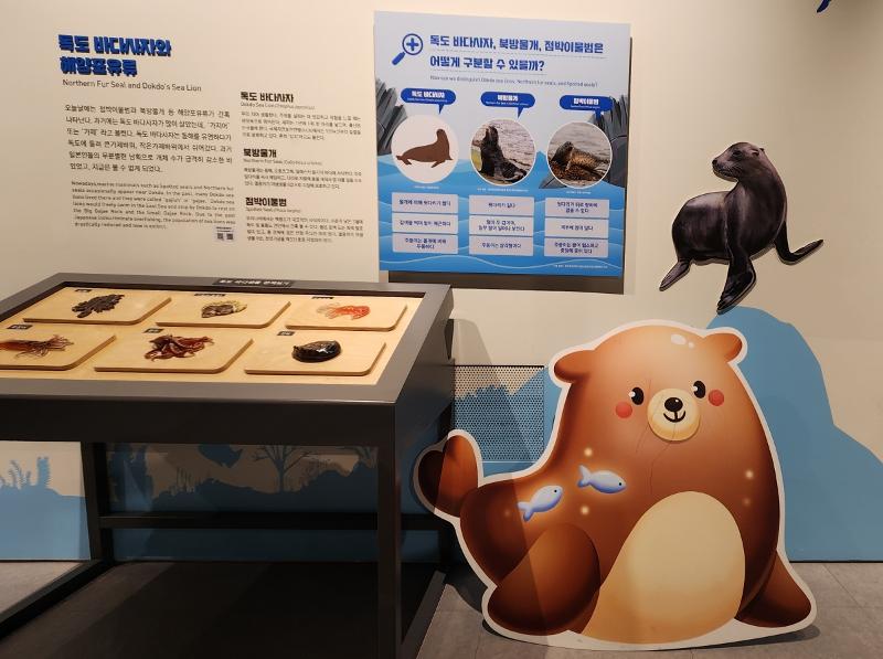 This display is on Dokdo sea lions at Dokdo Museum Seoul.